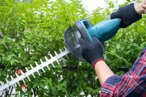 Custom yard cleanup service for year-round maintenance across Gloucester, MA - CapeAnn Landsape