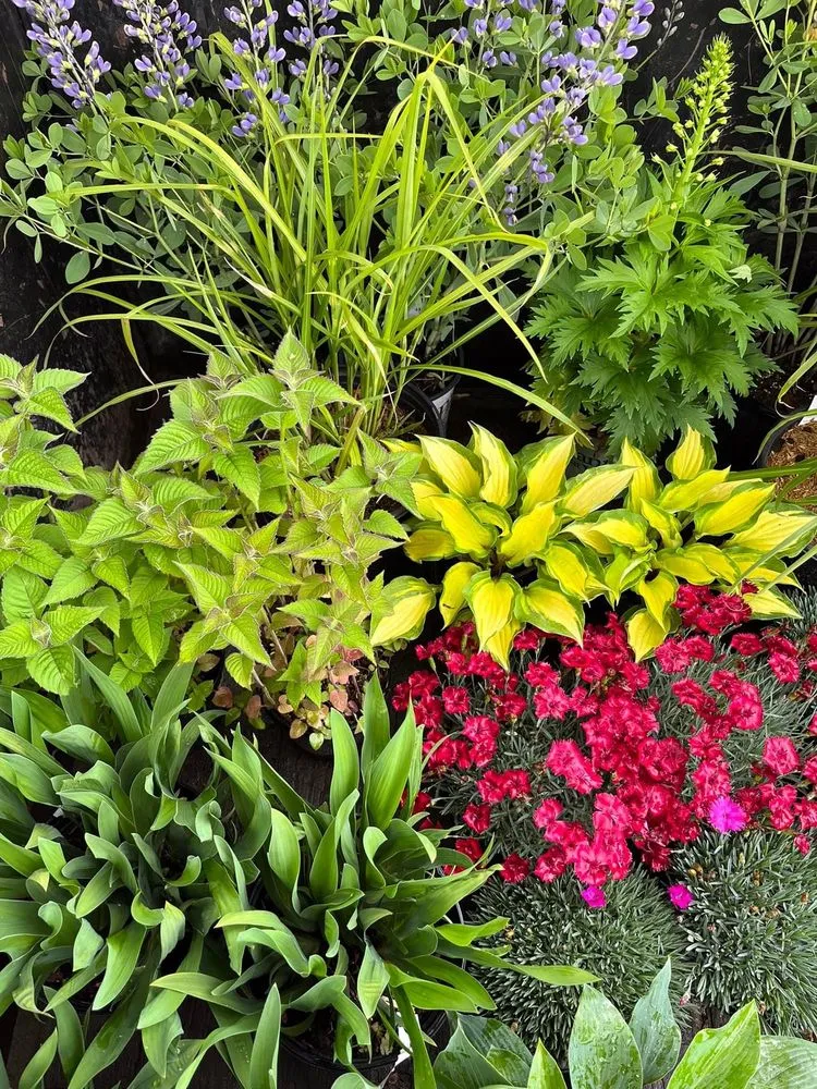 Local landscaping services in St Claire Shores, MI by Capek's Landscaping