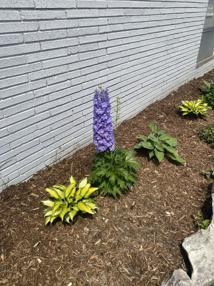 Trusted landscape installation near you in St Claire Shores, MI by Capek's Landscaping