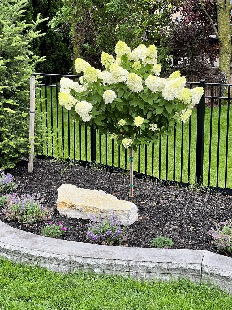 Local yard maintenance in St Claire Shores, MI by Capek's Landscaping