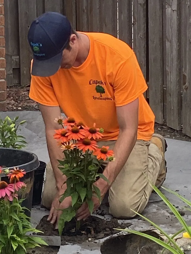 Custom yard maintenance in St Claire Shores, MI by Capek's Landscaping
