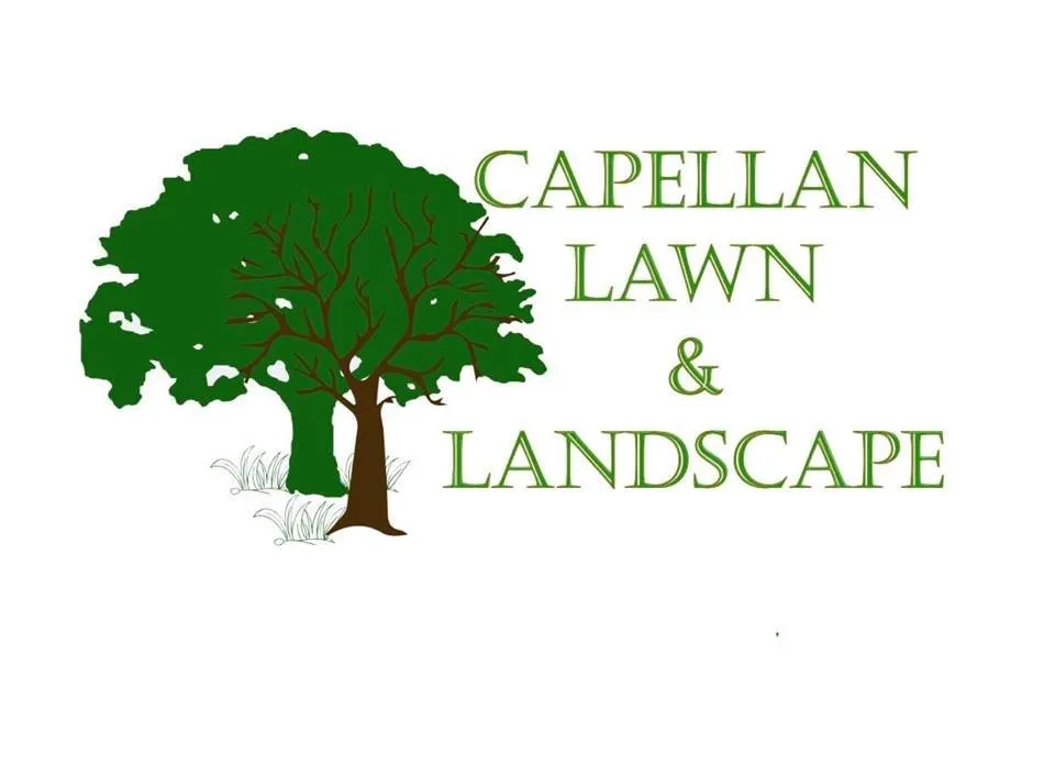 Expert landscape design in Reading, PA by Capellan Lawn & Landscaping