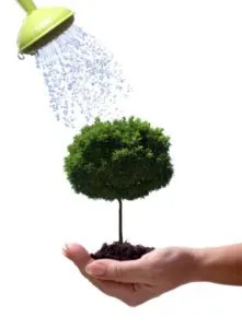 Professional landscape installation with custom design in Reading, PA by Capellan Lawn & Landscaping