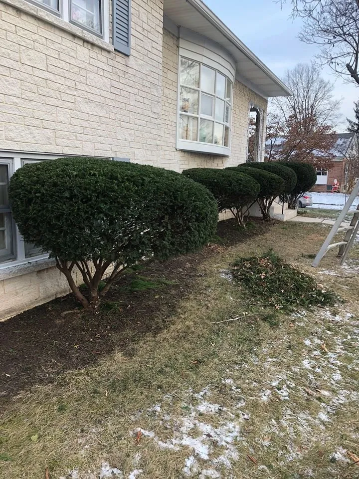 Custom lawn mowing service in Reading, PA by Capellan Lawn & Landscaping