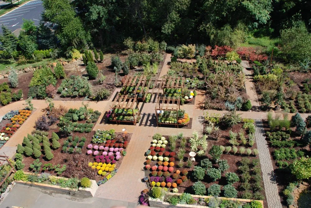 Top-rated yard cleanup service experts serving Middletown, NJ - Capelli's