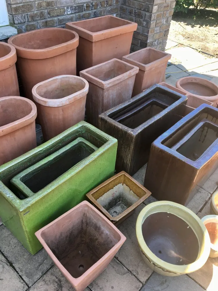 Expert yard cleanup service experts serving Middletown, NJ - Capelli's