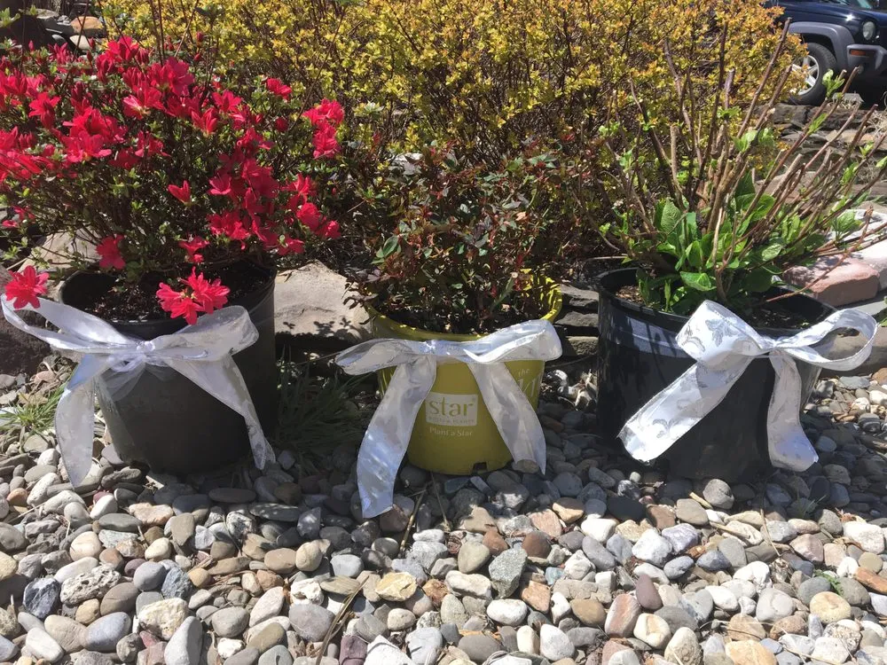 Top-rated garden landscaping experts serving Middletown, NJ - Capelli's