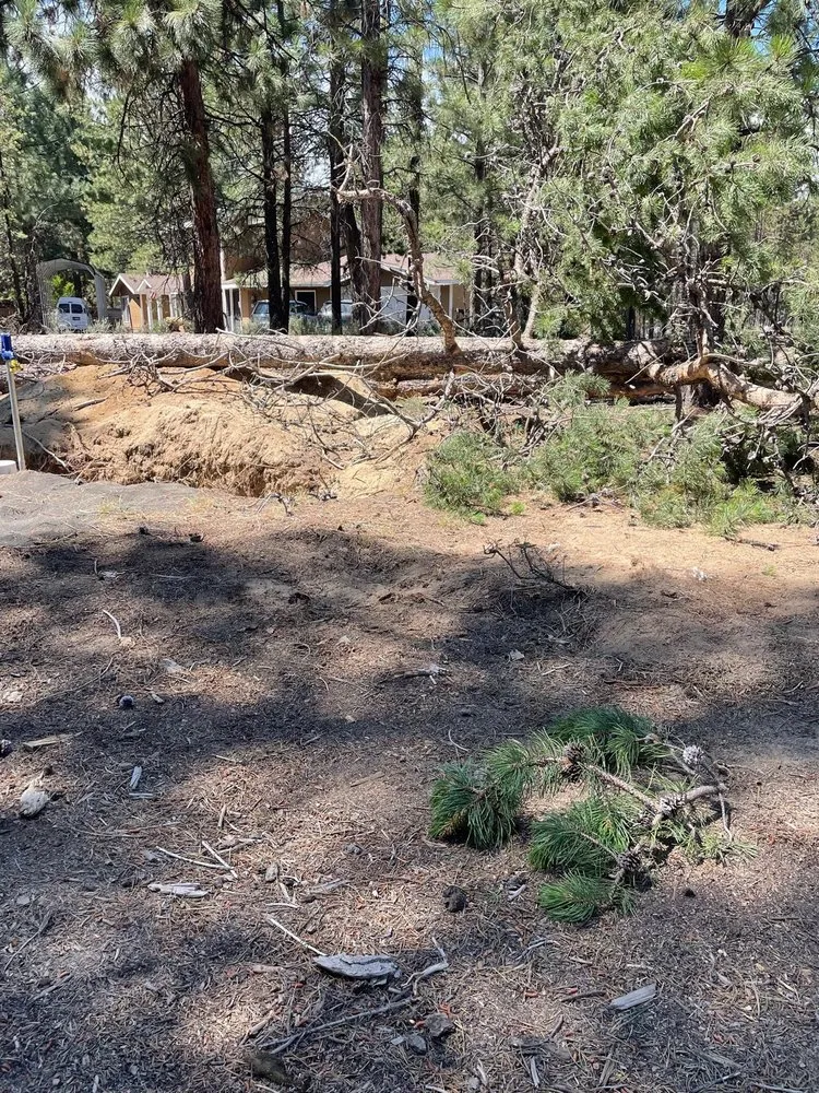 Trusted yard cleanup service experts serving La Pine, OR - Capelli’s Timber and Land Services