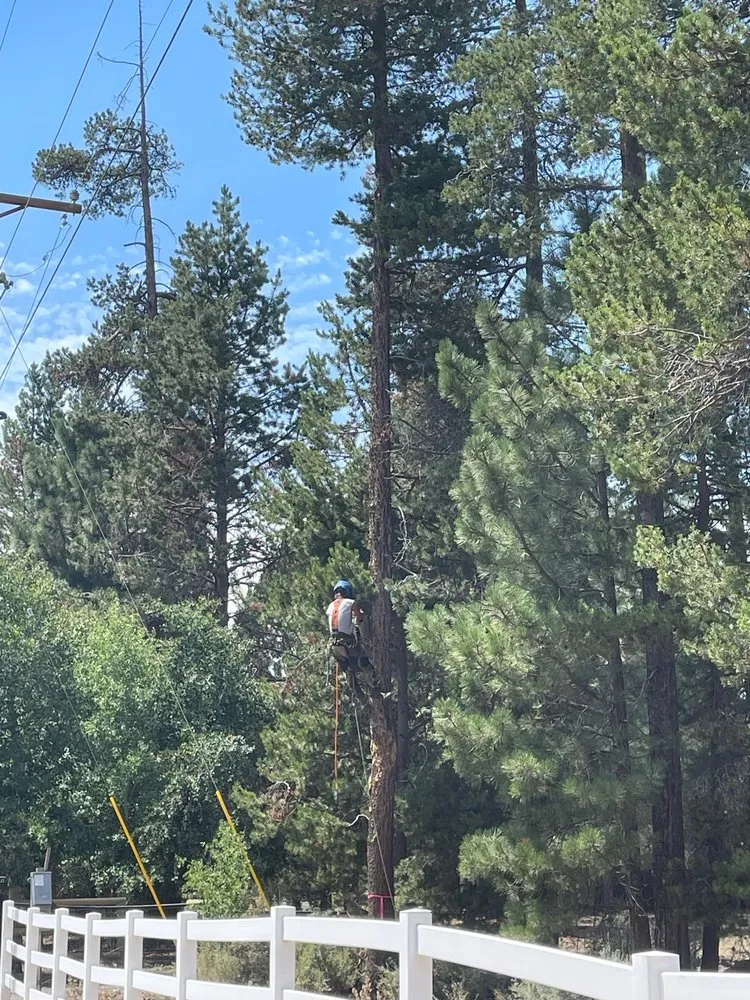 Trusted residential landscaping in La Pine, OR - Capelli’s Timber and Land Services