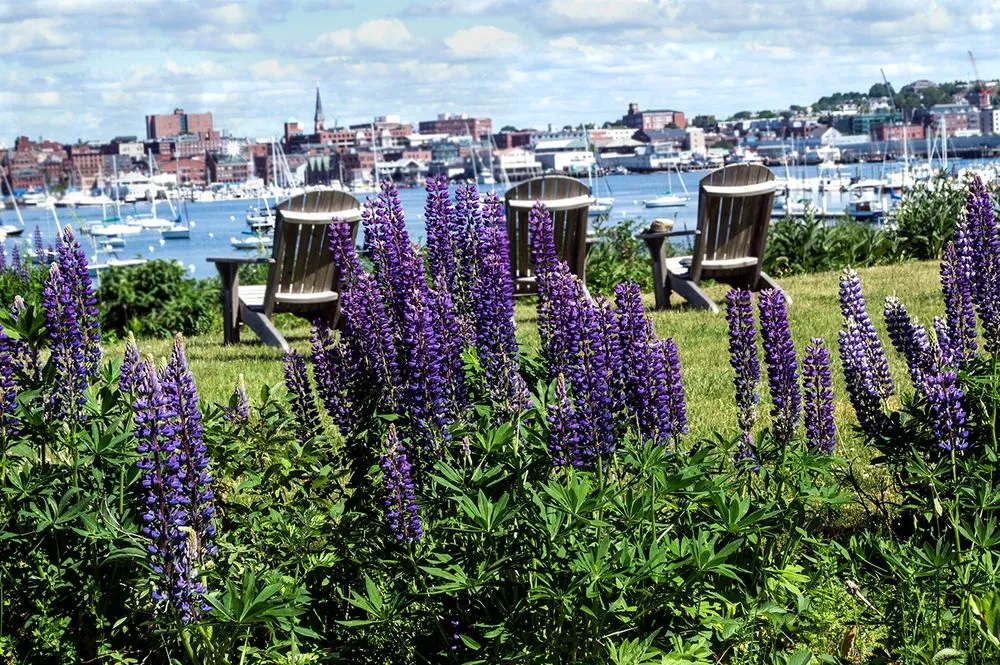 Reliable outdoor landscaping for beautiful yards in South Portland, ME by Capelluti, MLA Landscape & Garden