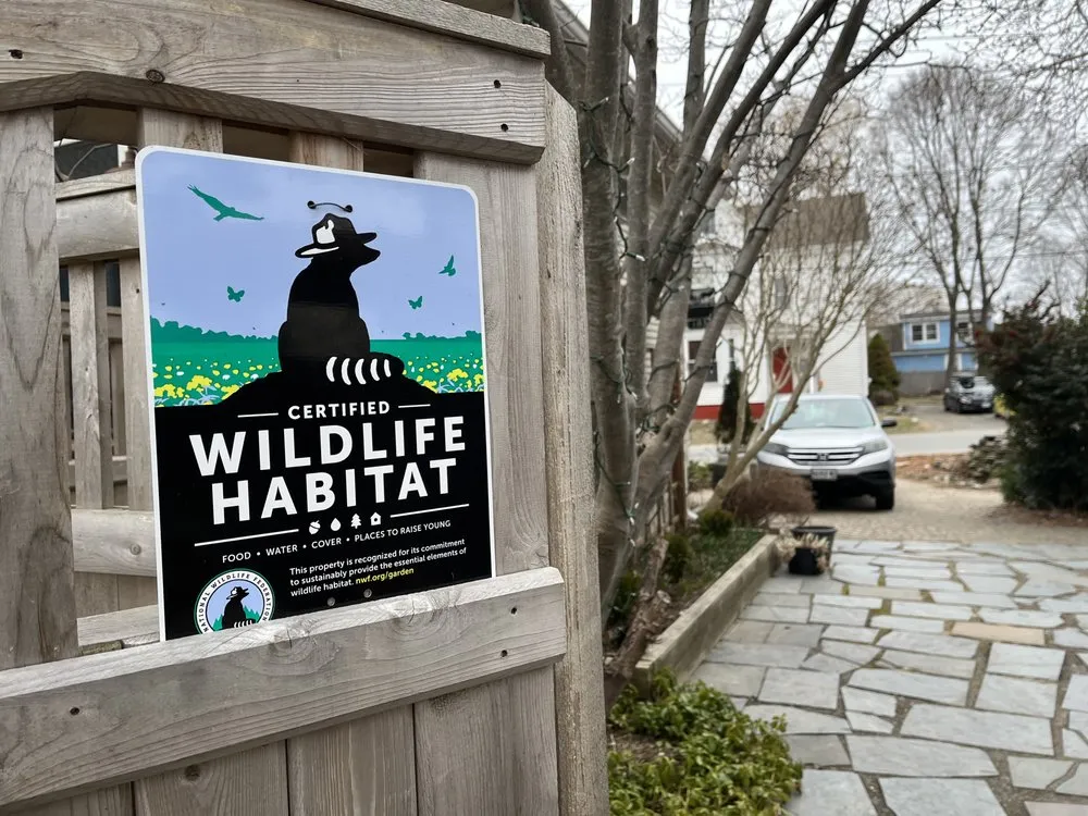 Top-rated landscaping services experts serving South Portland, ME - Capelluti, MLA Landscape & Garden