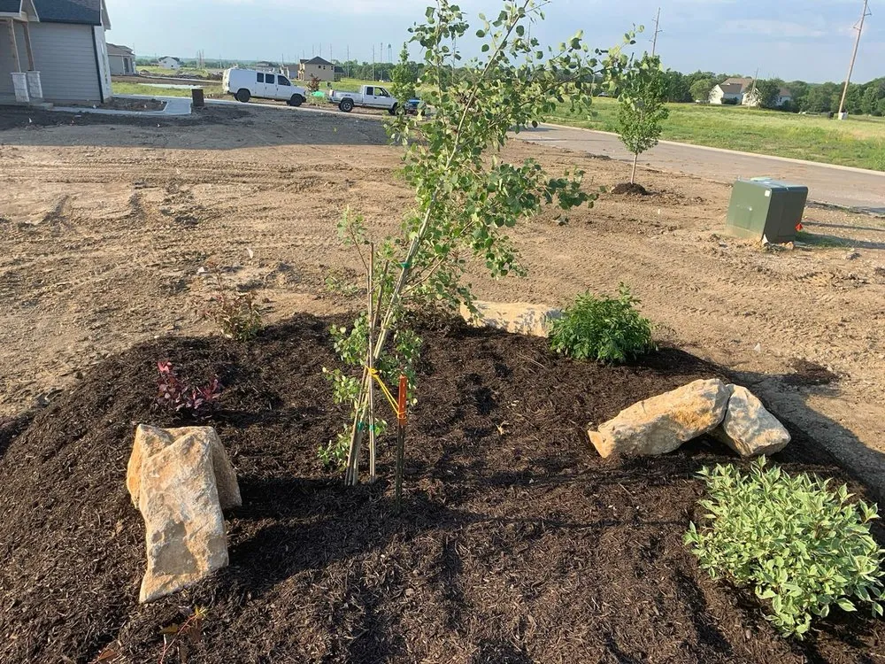 Expert lawn mowing service in Overland Park, KS by Capetillo Landscaping & Tree Service