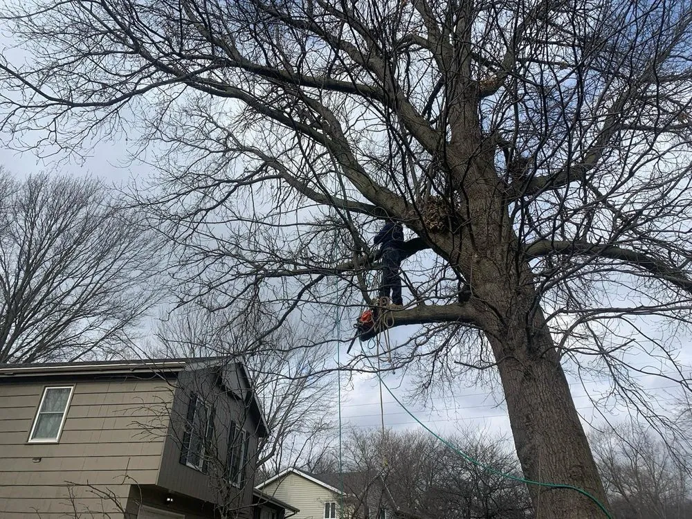 Expert landscaping services for homes in Overland Park, KS by Capetillo Landscaping & Tree Service