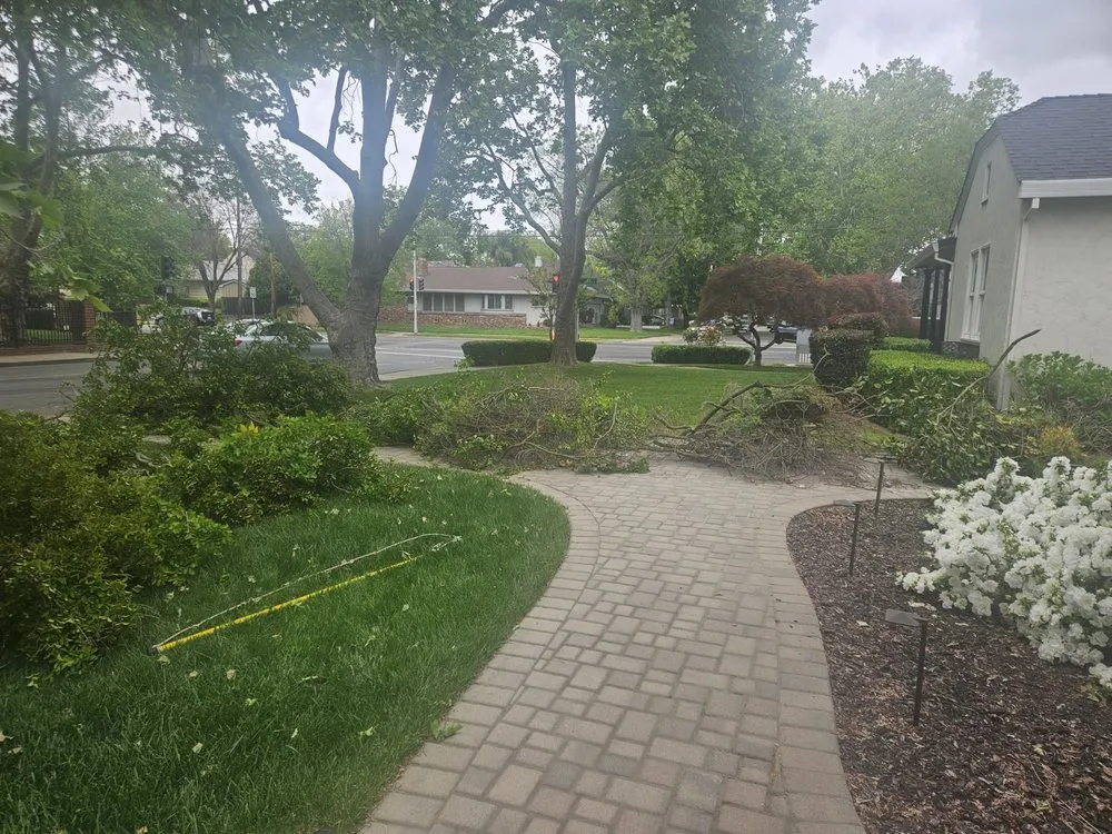 Trusted garden landscaping in Rocklin, CA by Capital Arborists Inc