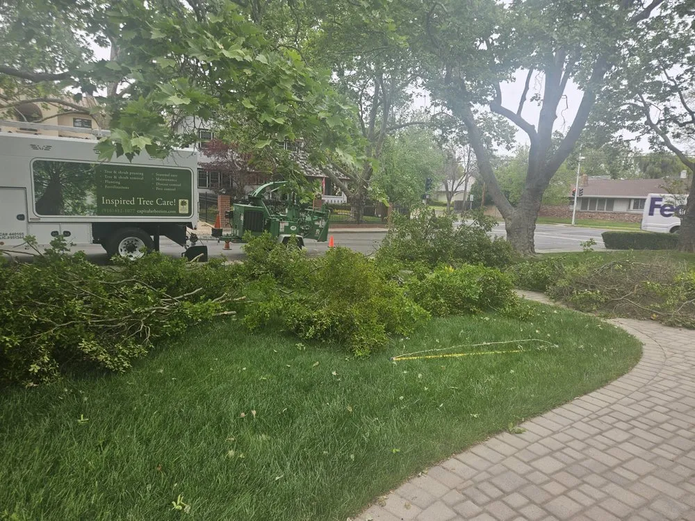 Custom garden landscaping for year-round maintenance across Rocklin, CA - Capital Arborists Inc