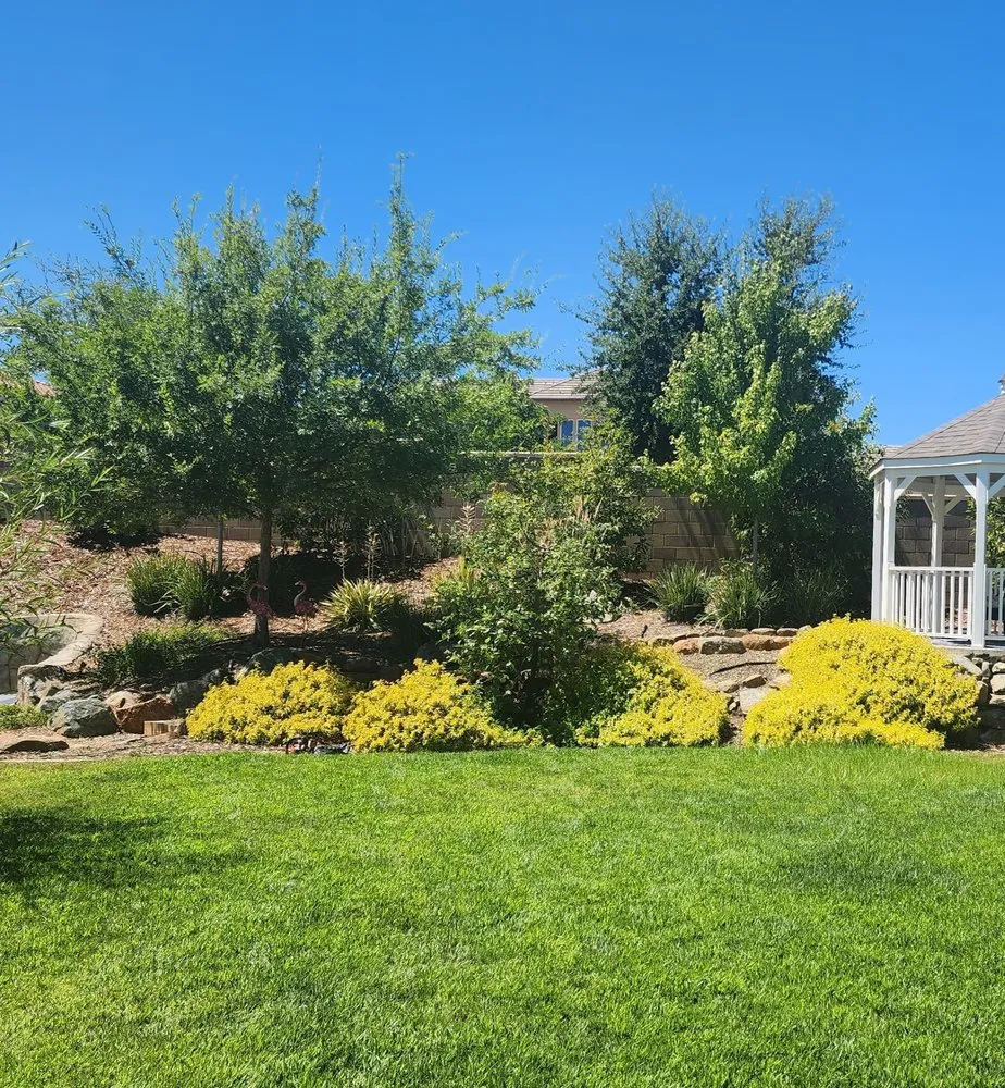 Top-rated lawn mowing service near you across Rocklin, CA - Capital Arborists Inc