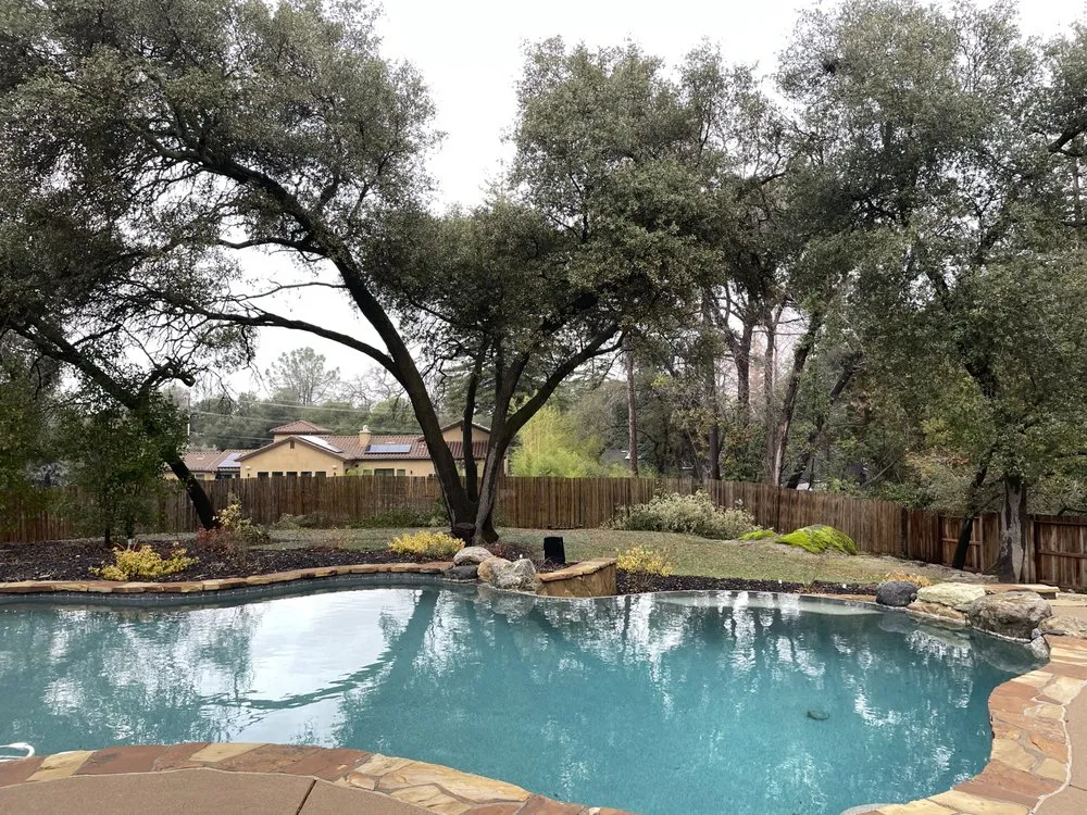 Local lawn care service in Rocklin, CA by Capital Arborists Inc