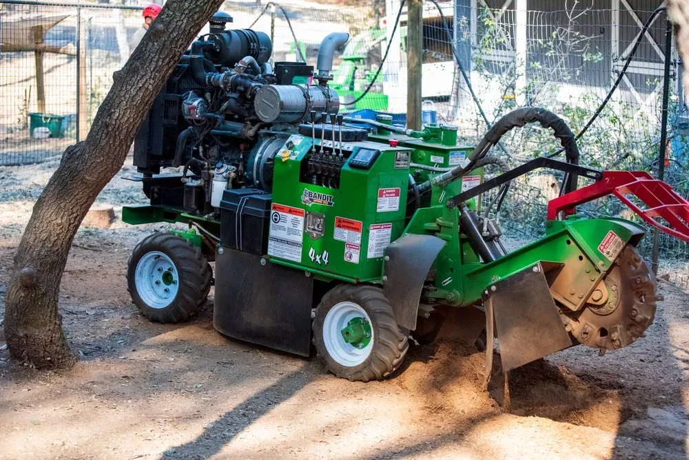 Affordable garden landscaping in Rocklin, CA by Capital Arborists Inc