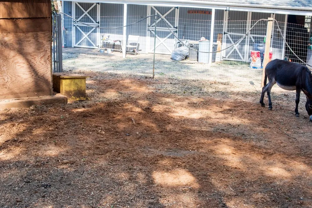 Reliable garden landscaping for beautiful yards across Rocklin, CA - Capital Arborists Inc