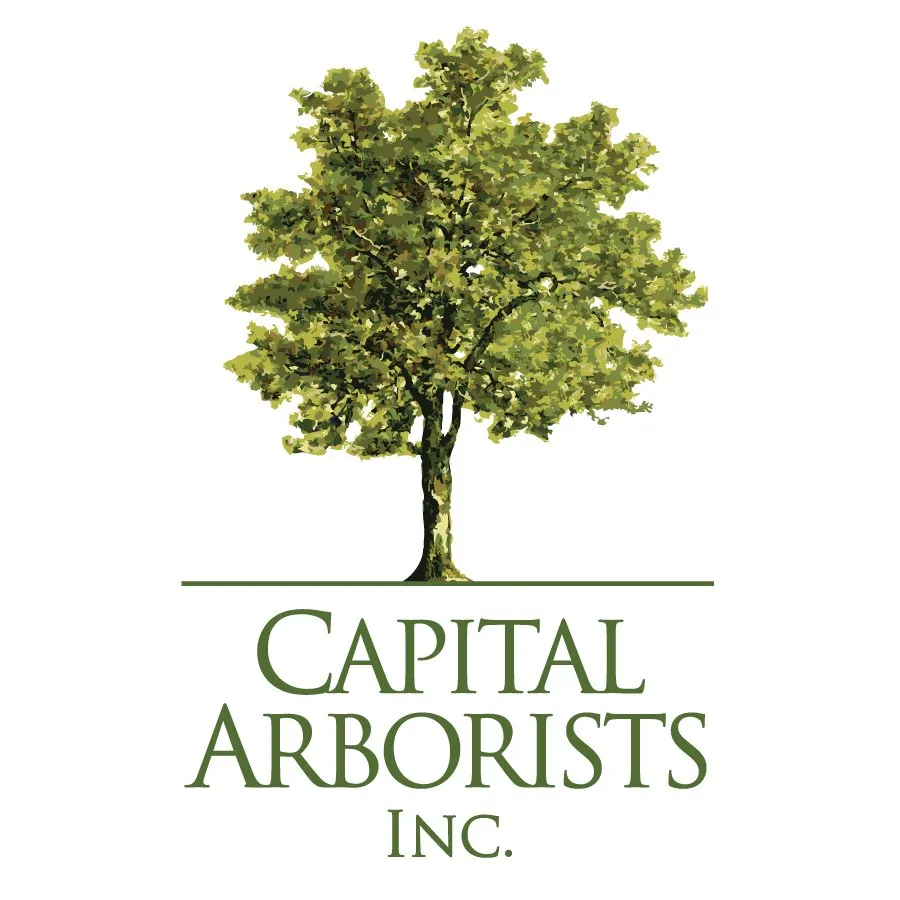 Local garden landscaping in Rocklin, CA - Capital Arborists Inc