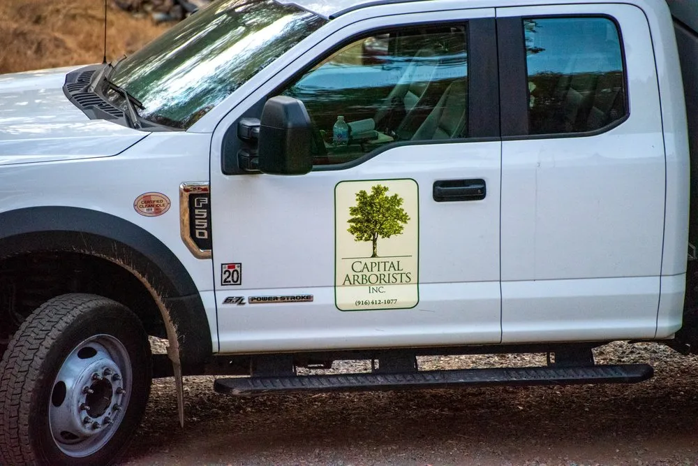 Local outdoor landscaping in Rocklin, CA by Capital Arborists Inc