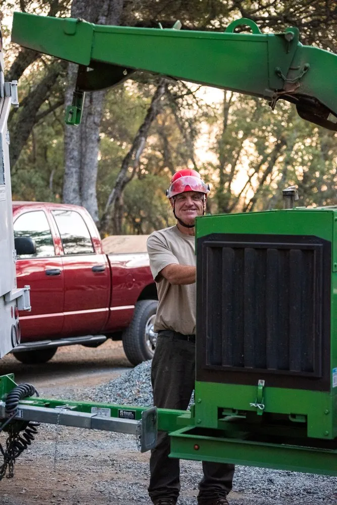 Affordable residential landscaping with custom design in Rocklin, CA by Capital Arborists Inc