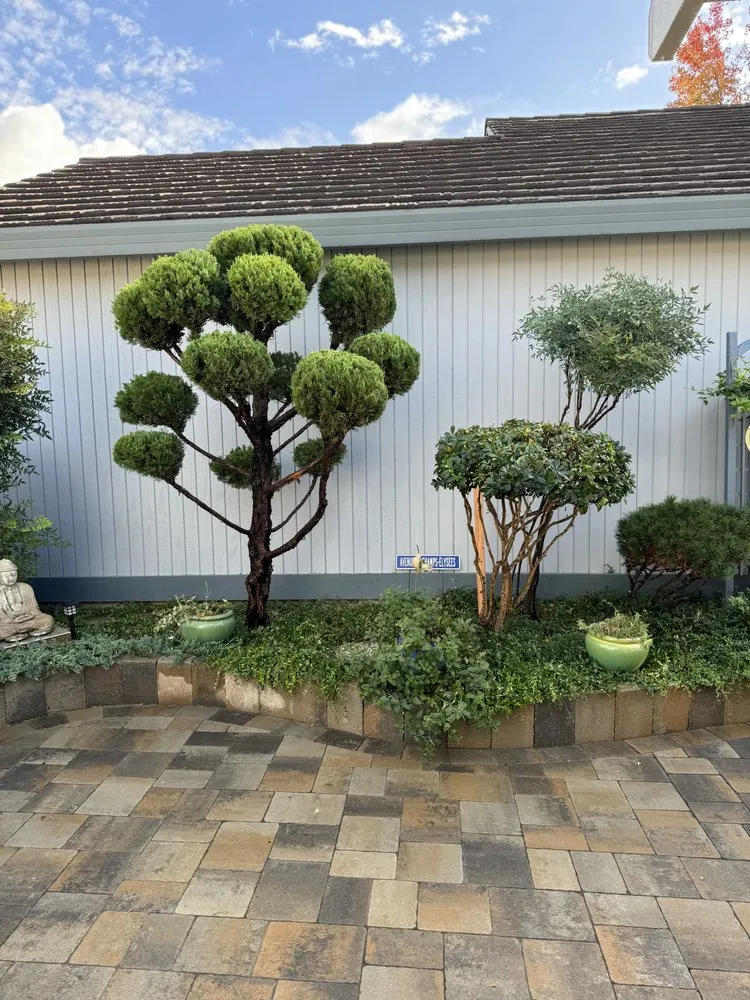 Trusted garden landscaping in Rocklin, CA - Capital Arborists Inc
