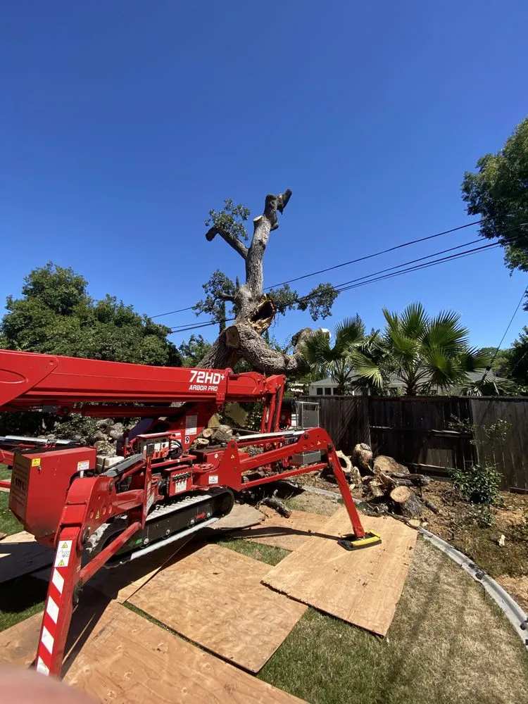 Trusted landscape installation in Rocklin, CA - Capital Arborists Inc