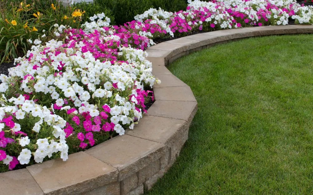 Local yard cleanup service for residential properties in Lansing, MI by Capital Area Landscaping