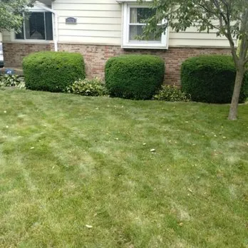Reliable landscape installation for residential properties in Lansing, MI by Capital Area Landscaping