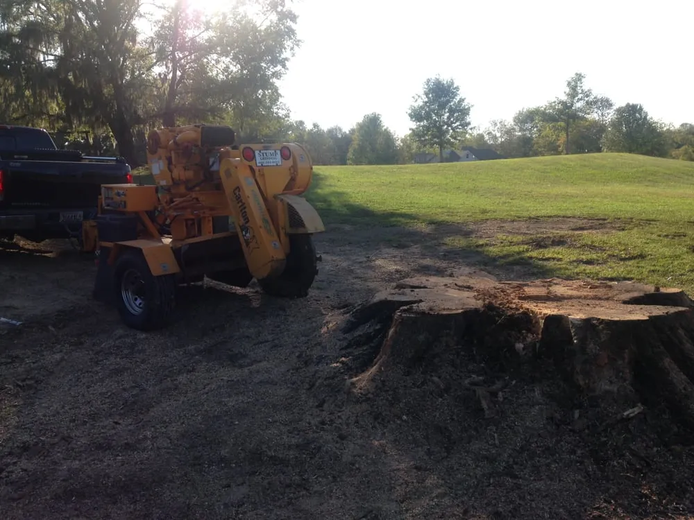 Trusted landscape installation in Montgomery, AL by Capital City Stump Grinding