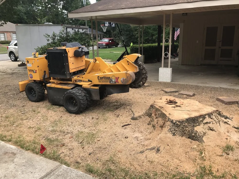 Top-rated landscape design experts serving Montgomery, AL - Capital City Stump Grinding