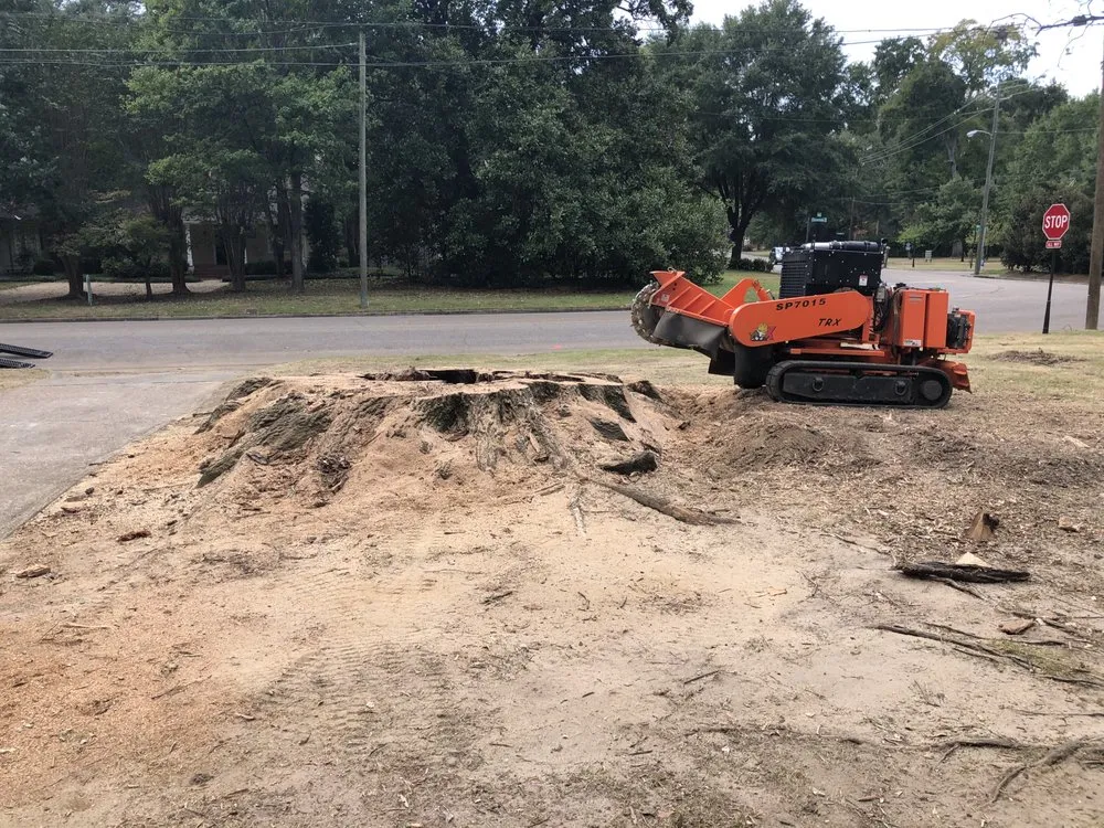 Reliable lawn mowing service for homes across Montgomery, AL - Capital City Stump Grinding