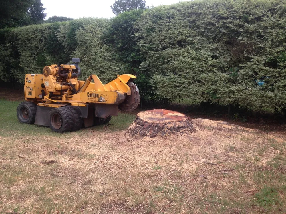 Custom landscaping services in Montgomery, AL - Capital City Stump Grinding