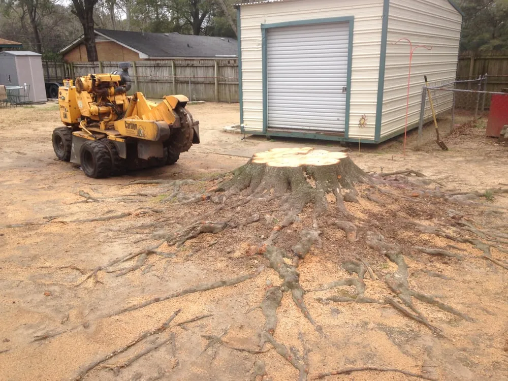 Trusted residential landscaping in Montgomery, AL by Capital City Stump Grinding