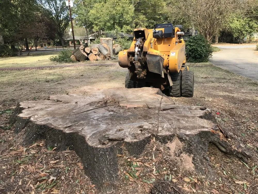Professional garden landscaping for residential properties across Montgomery, AL - Capital City Stump Grinding