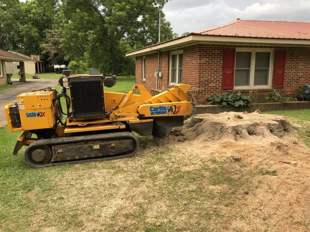 Top-rated residential landscaping experts serving Montgomery, AL - Capital City Stump Grinding