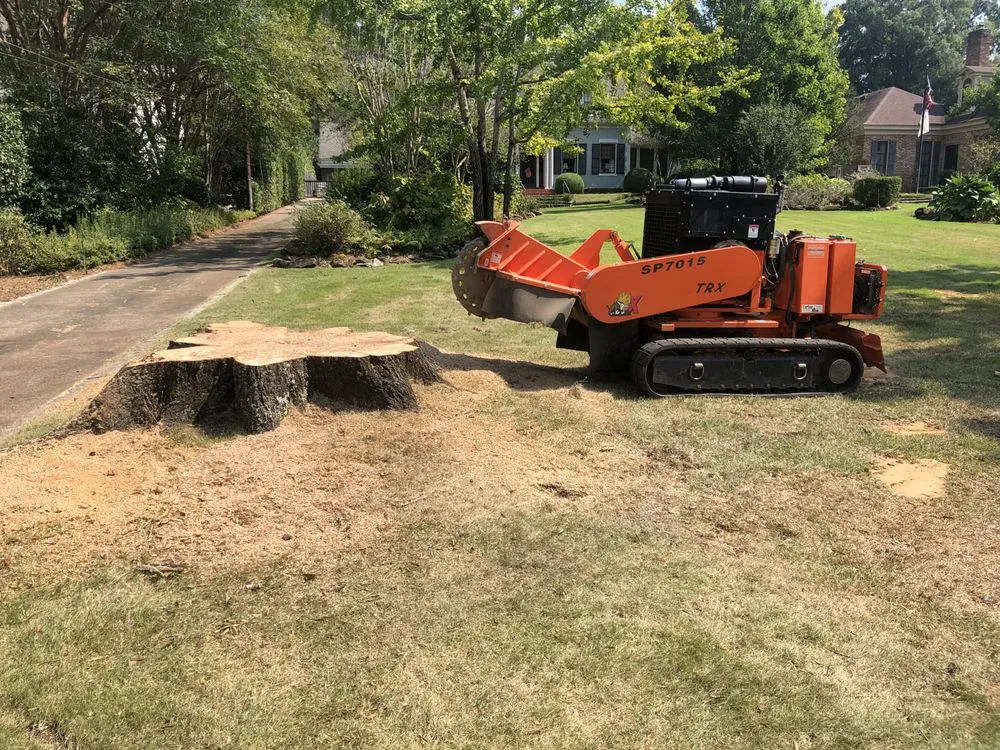 Affordable garden landscaping in Montgomery, AL - Capital City Stump Grinding