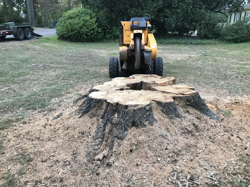 Local lawn care service near you across Montgomery, AL - Capital City Stump Grinding