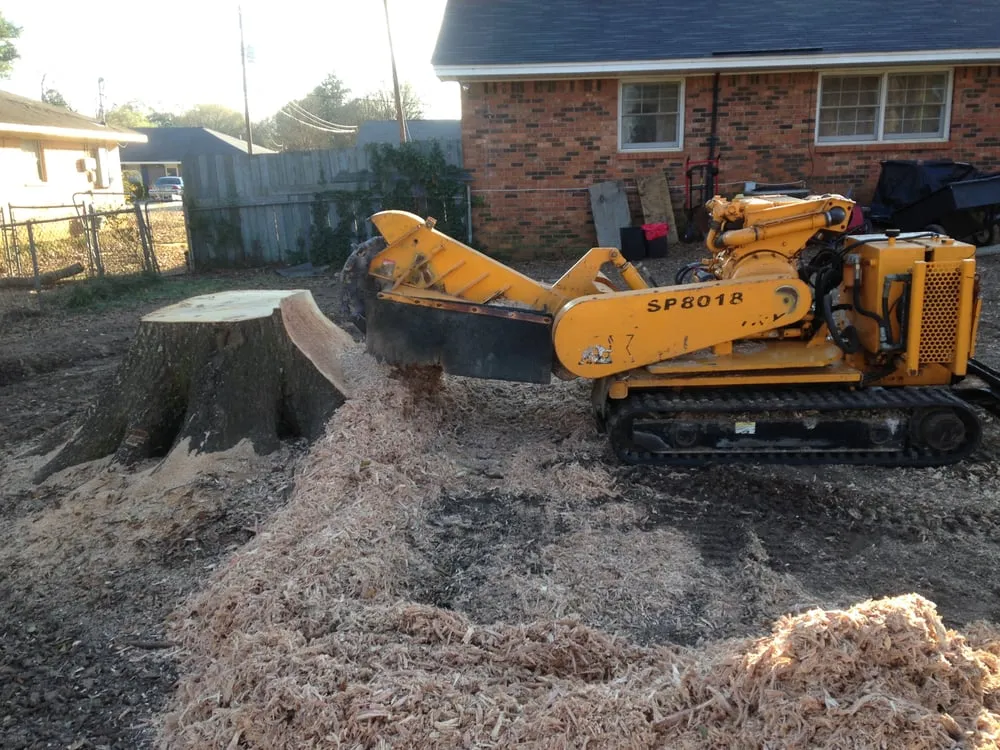 Reliable residential landscaping for beautiful yards across Montgomery, AL - Capital City Stump Grinding