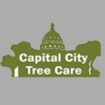 Top-rated garden landscaping for residential properties in Topeka, KS by Capital City Tree Care