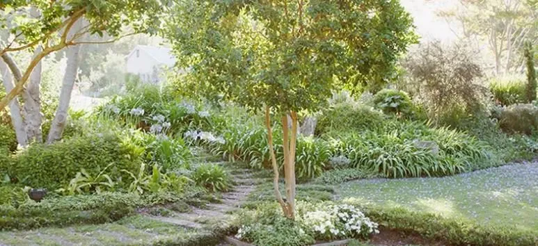 Trusted yard maintenance experts serving Topeka, KS - Capital City Tree Care