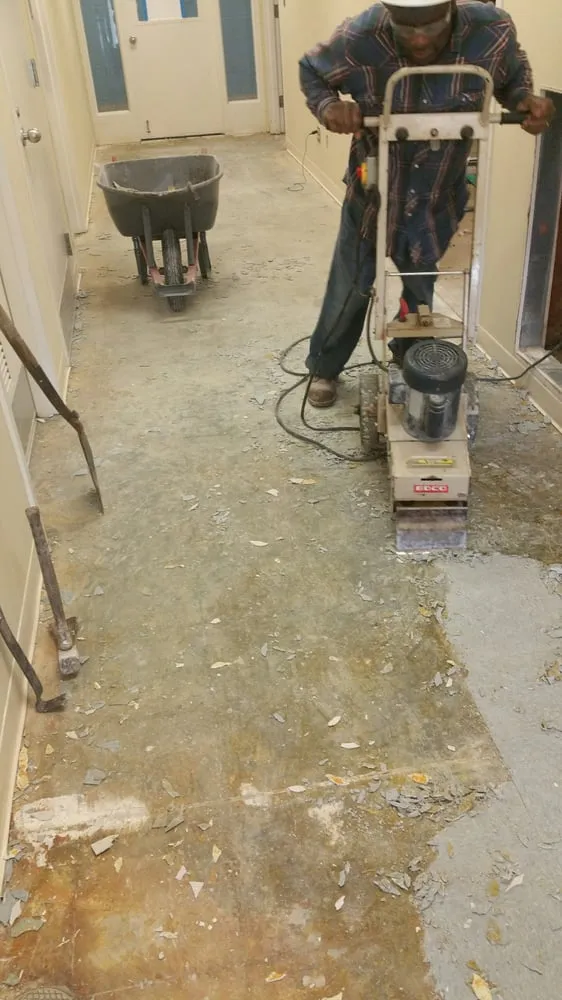 Reliable yard maintenance experts serving Hurlock, MD - Capital Contracting