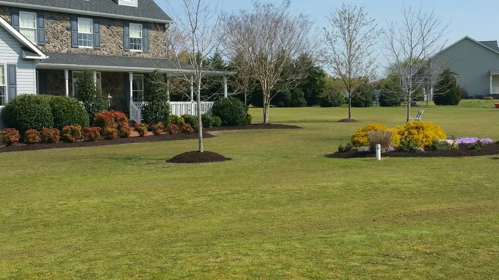 Affordable lawn mowing service for outdoor upgrades across Hurlock, MD - Capital Contracting