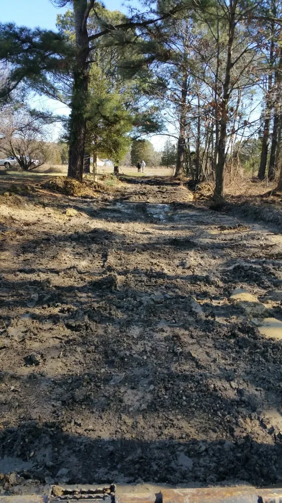 Trusted lawn mowing service with custom design in Hurlock, MD by Capital Contracting