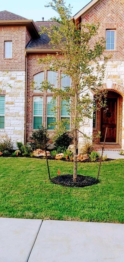 Affordable outdoor landscaping for year-round maintenance across Austin, TX - Capital Curbing