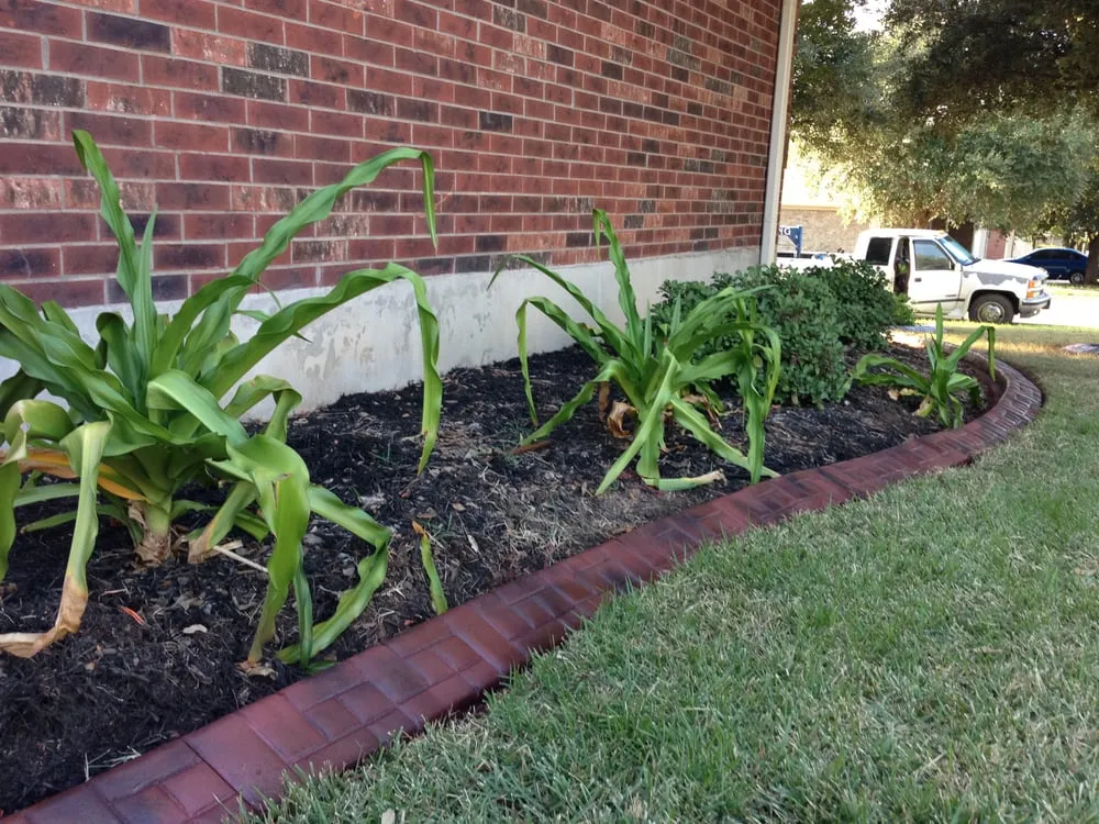 Top-rated lawn care service experts serving Austin, TX - Capital Curbing