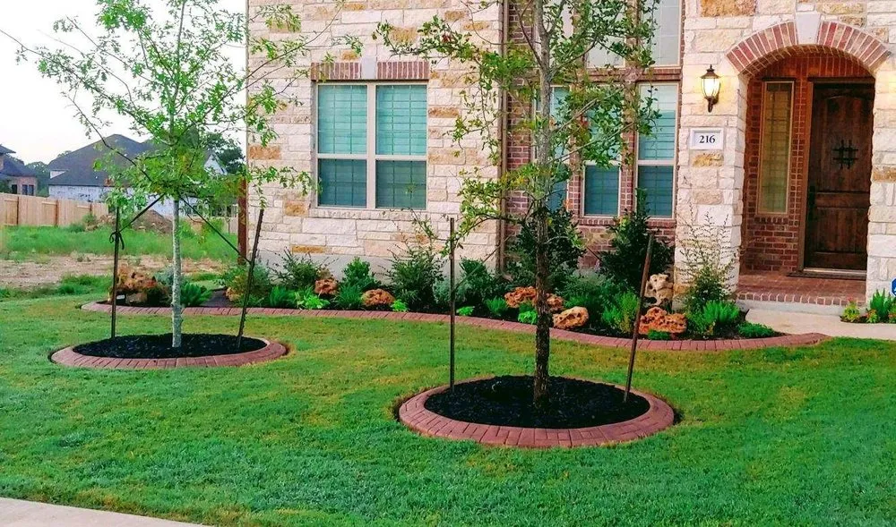 Local yard cleanup service in Austin, TX - Capital Curbing