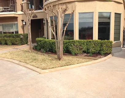 Custom landscape design experts serving Austin, TX - Capital Curbing