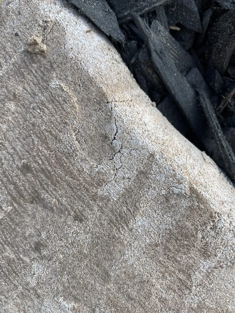 Trusted yard cleanup service for homes across Austin, TX - Capital Curbing